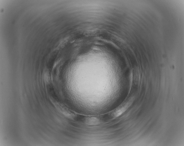 X0000072980287200608041251