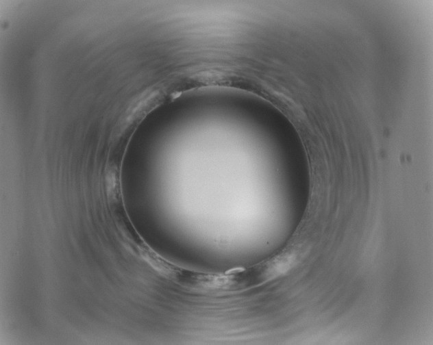 X0000072980288200608041251