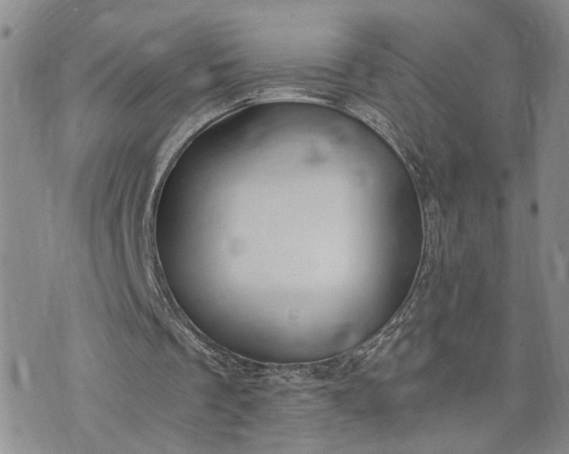 X0000072980289200608041250