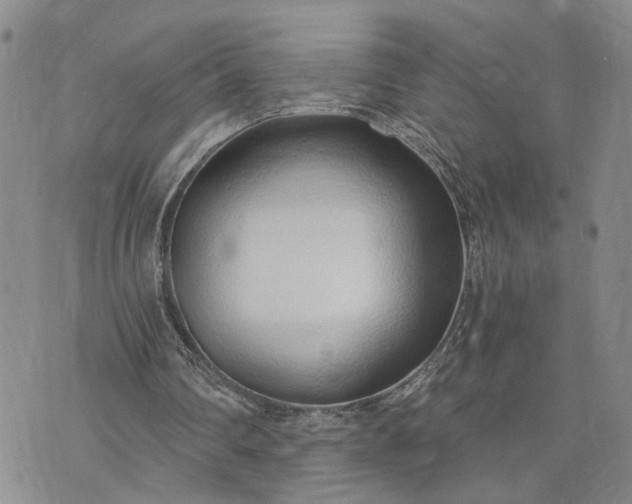 X0000072980290200608041250