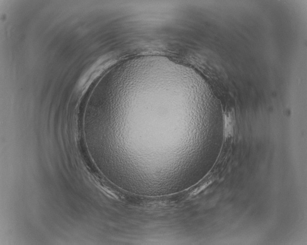 X0000072980291200608041250