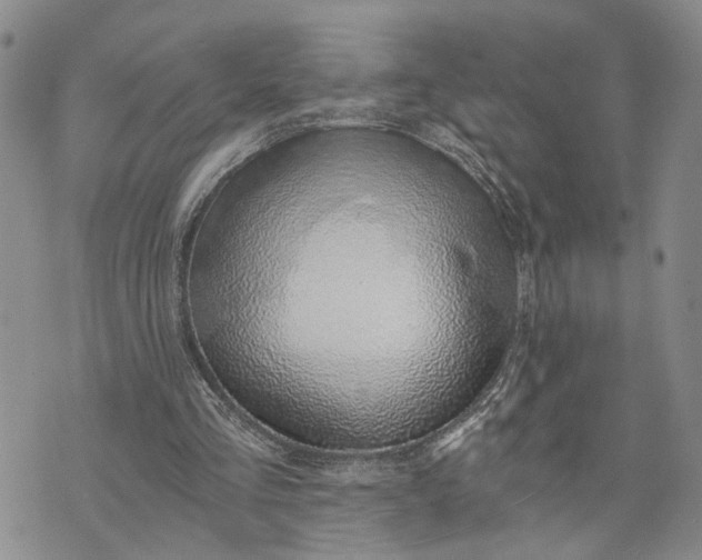 X0000072980293200608041250