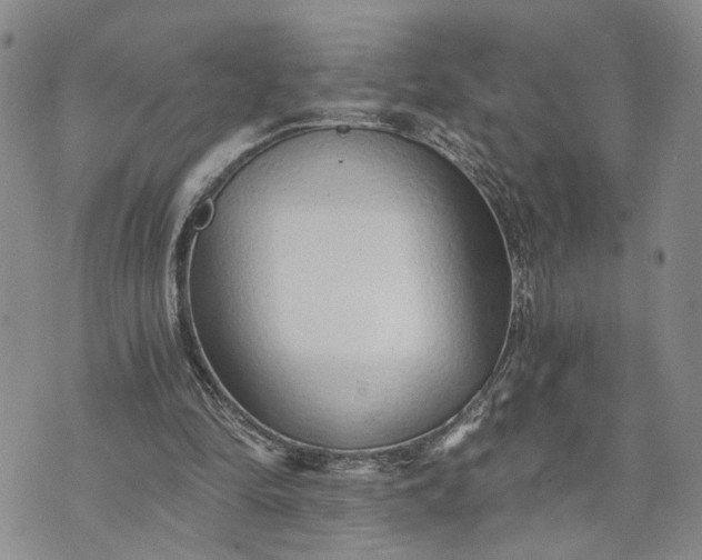 X0000072980294200608041250