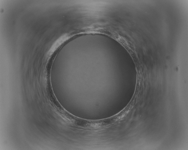 X0000072980295200608041250