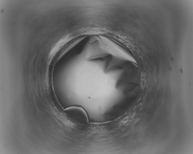 X0000072980296200608041250