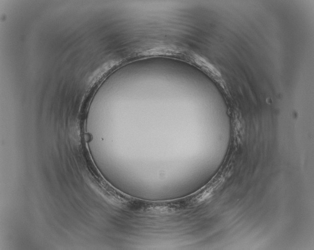 X0000072980298200608041250