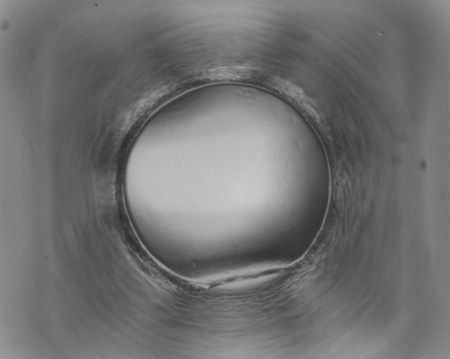 X0000072980299200608041250