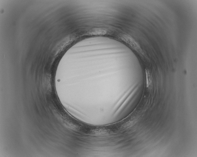 X0000072980300200608041250