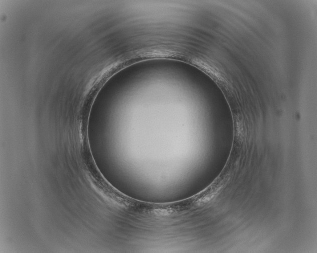 X0000072980302200608041250