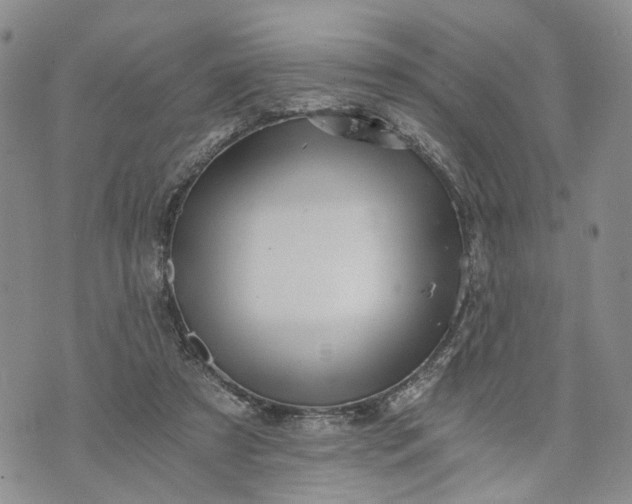 X0000072980305200608041250