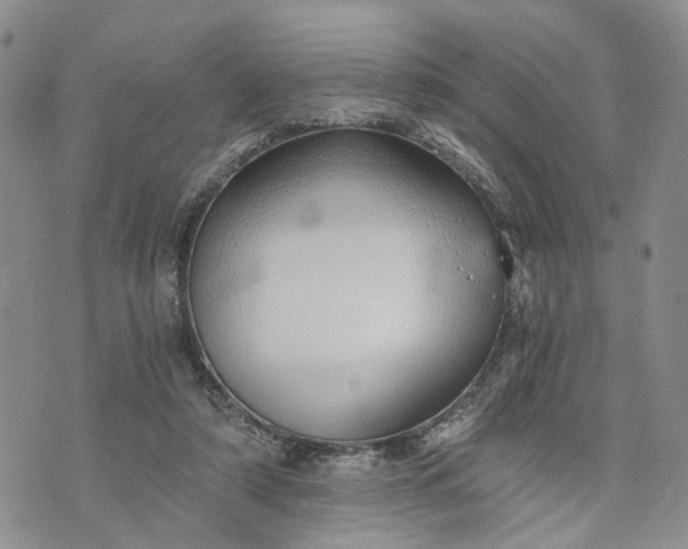 X0000072980306200608041250