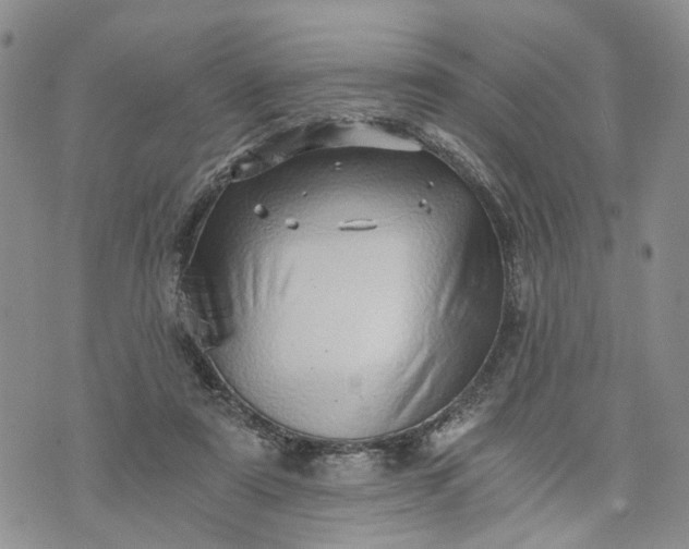 X0000072980307200608041250