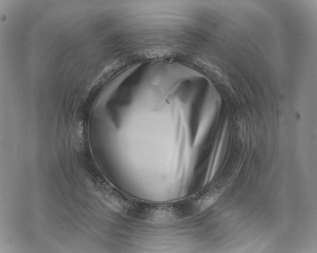 X0000072980308200608041250