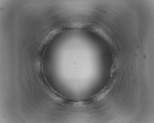 X0000072980309200608041250