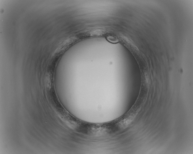 X0000072980311200608041250