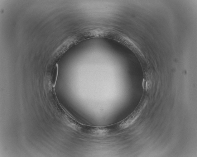 X0000072980313200608041250