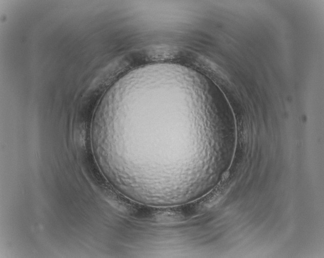 X0000072980315200608041250