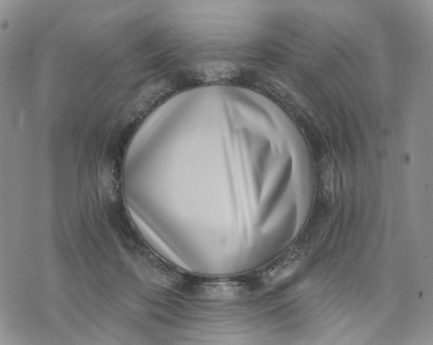 X0000072980316200608041249