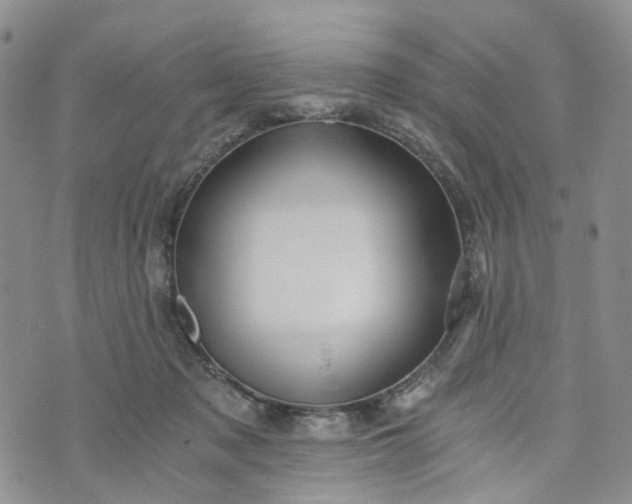 X0000072980317200608041249