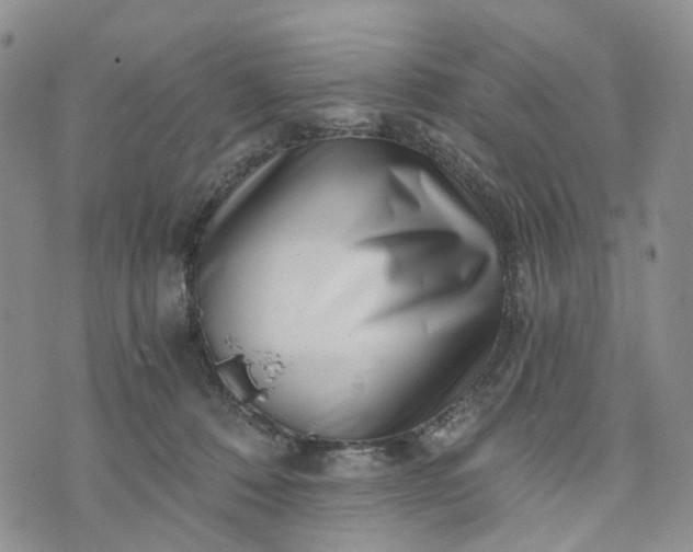 X0000072980320200608041249