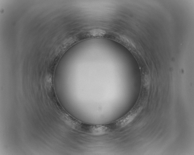 X0000072980321200608041249