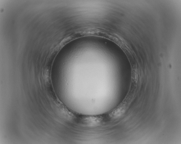 X0000072980326200608041249