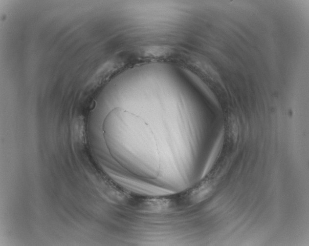 X0000072980328200608041249