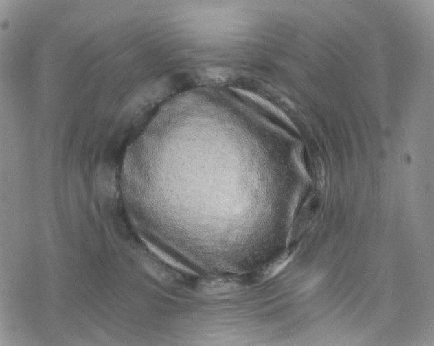 X0000072980331200608041249