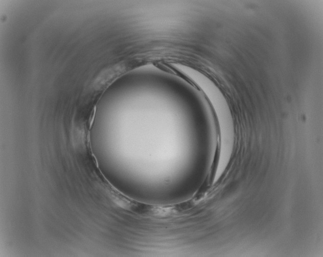 X0000072980333200608041249