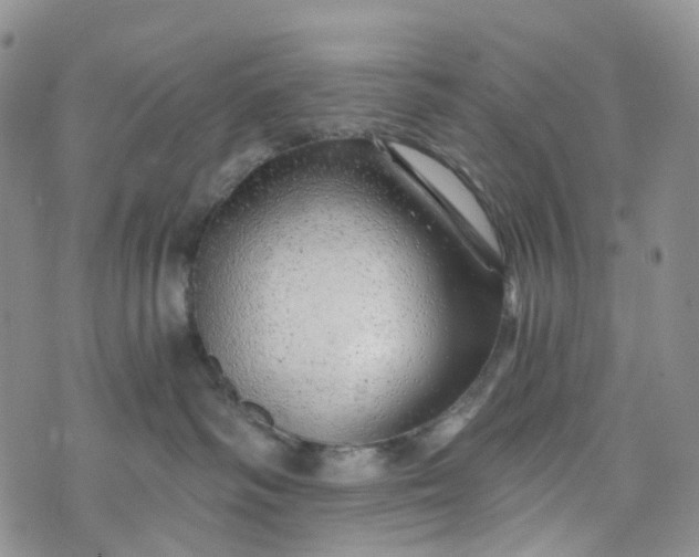 X0000072980334200608041249