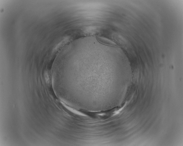 X0000072980335200608041249