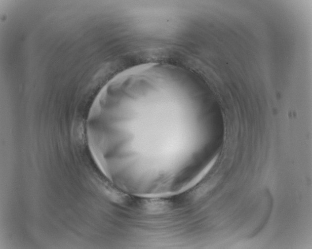 X0000072980336200608041249