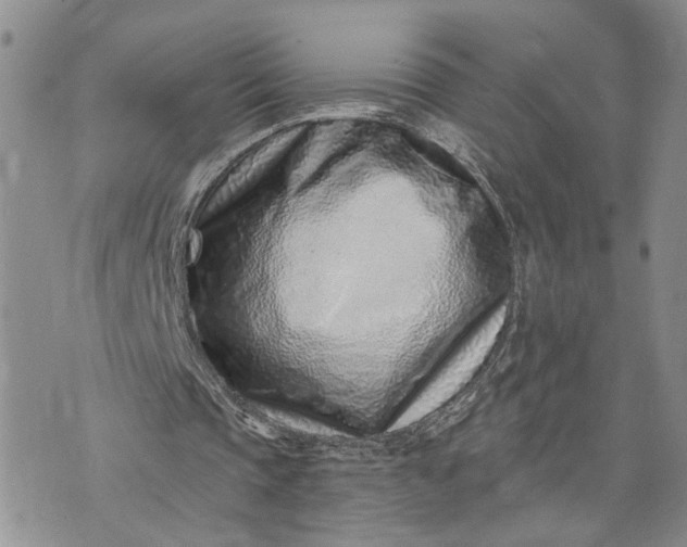 X0000072980337200608041248