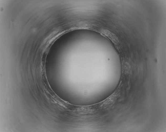 X0000072980338200608041248