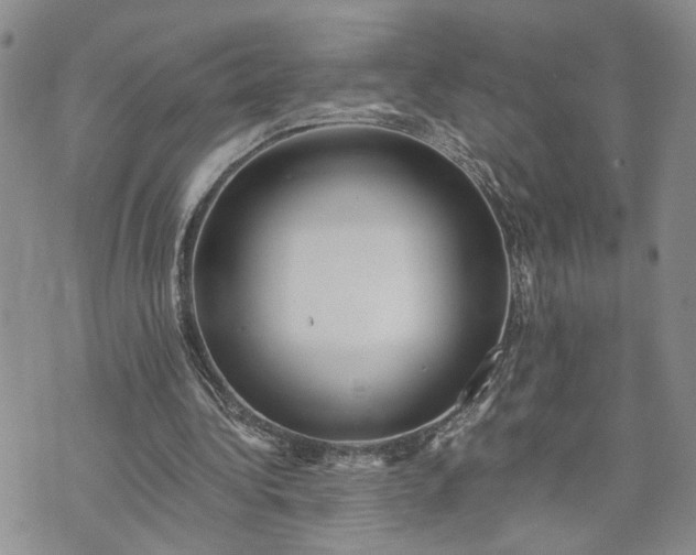 X0000072980340200608041248