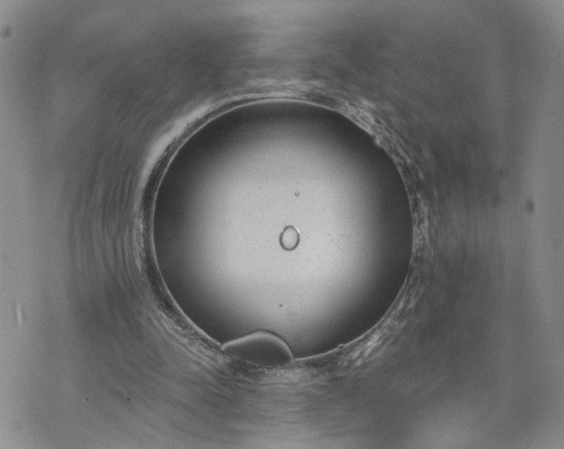 X0000072980342200608041248