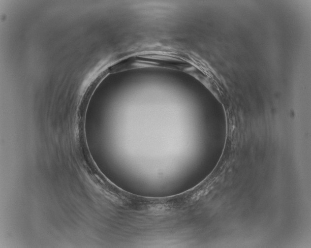 X0000072980344200608041248