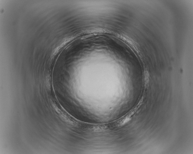 X0000072980345200608041249