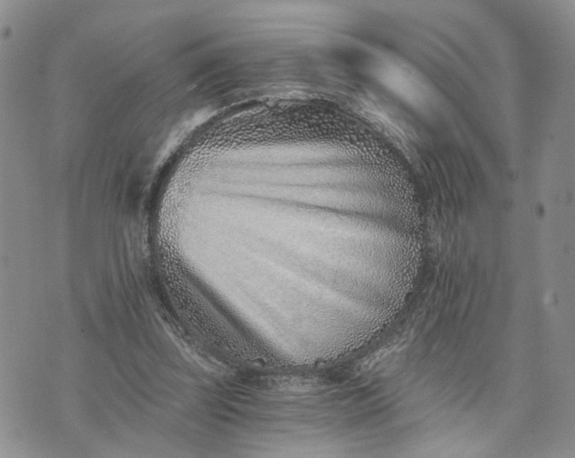 X0000072980347200608041249