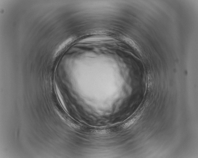 X0000072980349200608041249