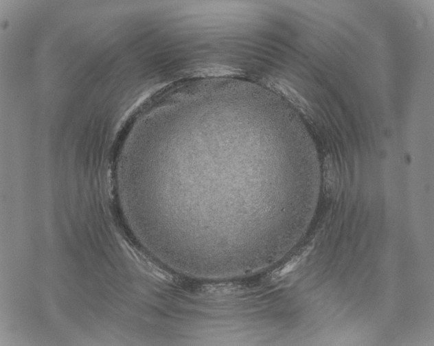 X0000072980351200608041249