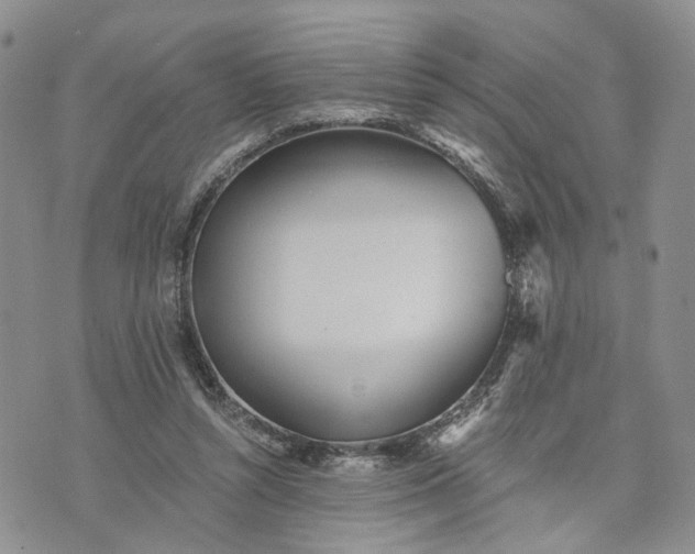 X0000072980352200608041249