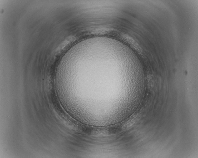 X0000072980354200608041249