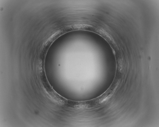 X0000072980356200608041249