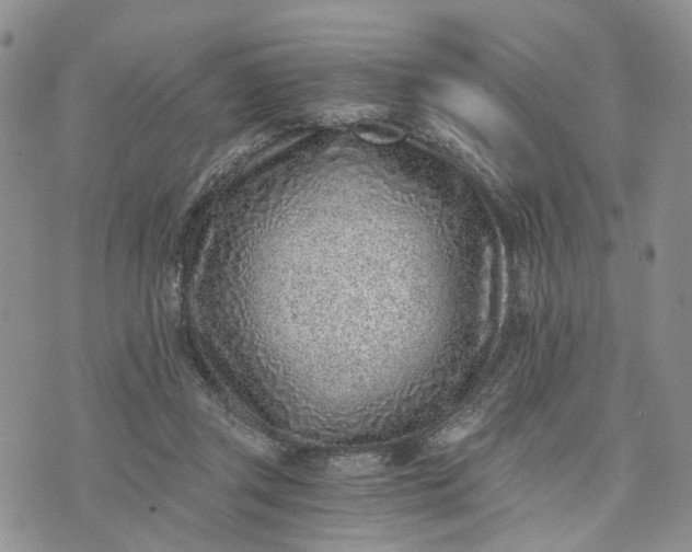 X0000072980357200608041249