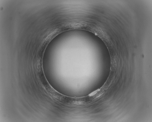 X0000072980360200608041249