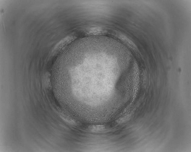 X0000072980361200608041249