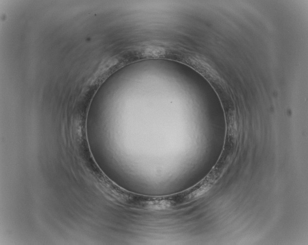 X0000072980363200608041249