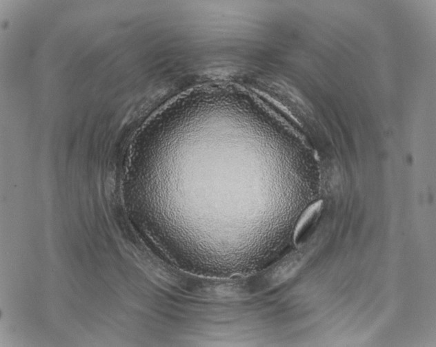 X0000072980365200608041249