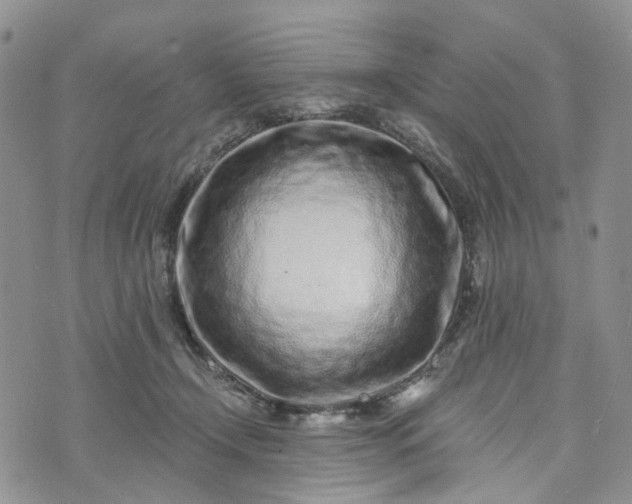 X0000072980366200608041249